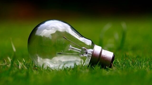 Bulb linkroundup 7