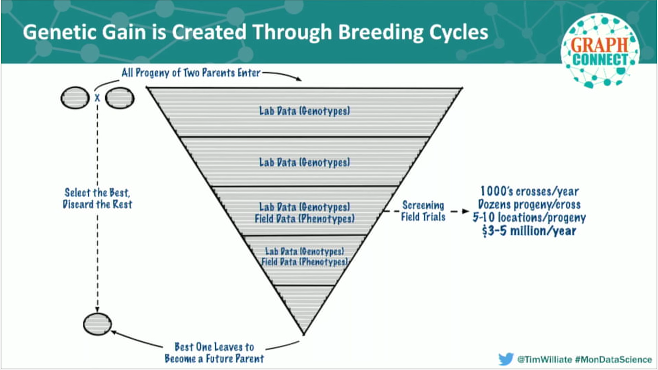 Graphs Are Feeding the World