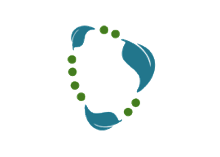 Spring Data Neo4j logo