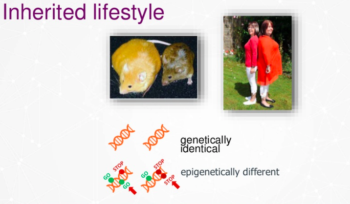 graph-fight-diabetes-jarasch-graphconnect.jpg