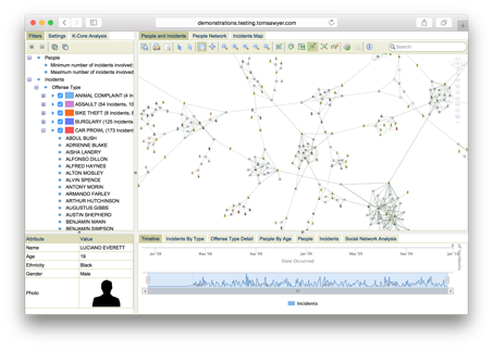 Breaking Down Crime Networks with Tom Sawyer Perspectives 