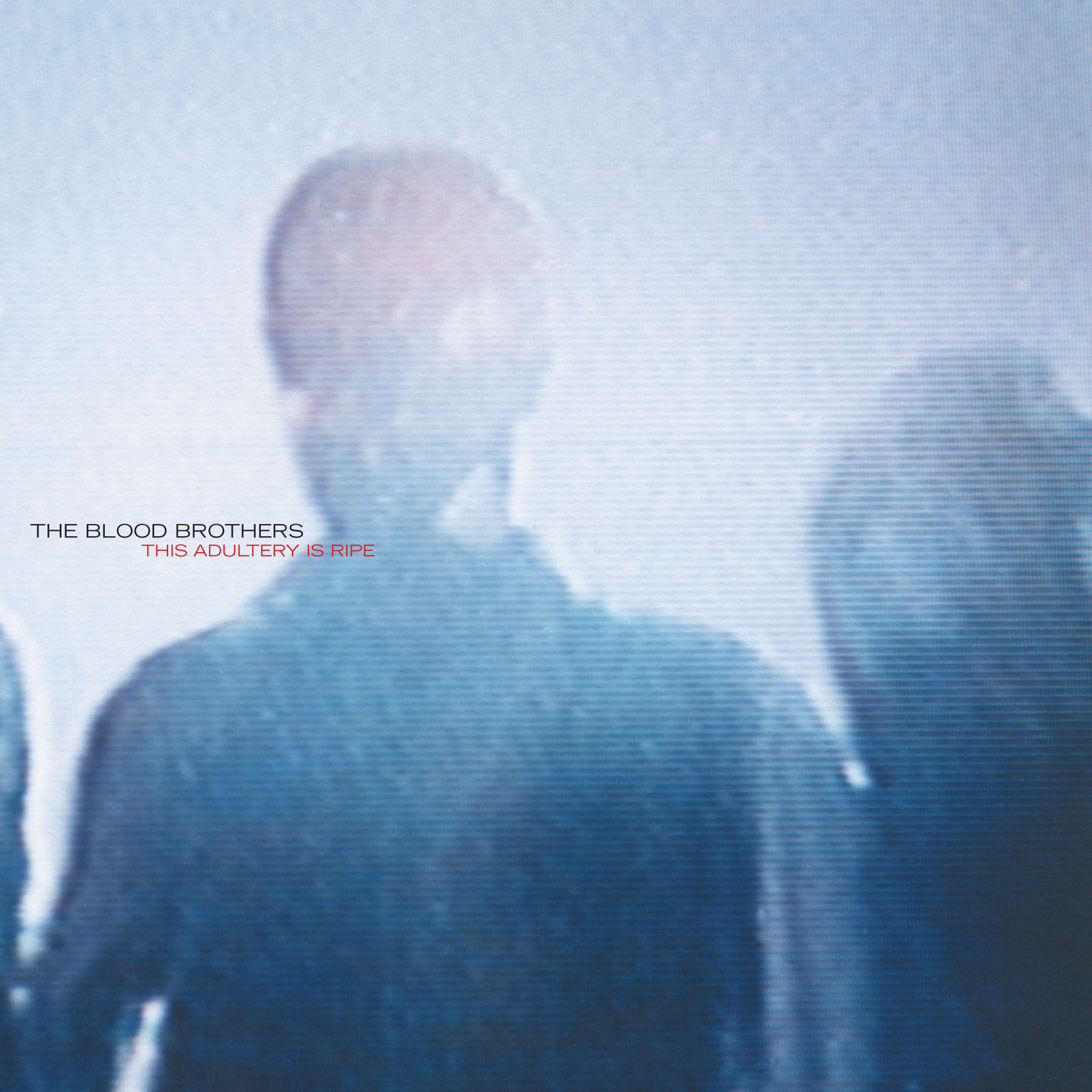 The Blood Brothers: This Adultery Is Ripe CD | Second Nature
