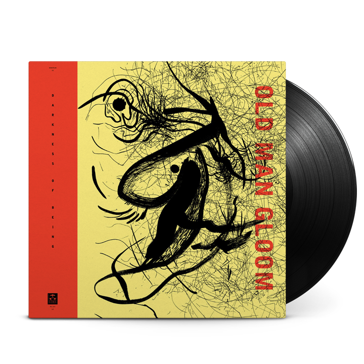 DYGL／SONGS OF INNOCENCE & EXPERIENCE LP DYGL – Songs Of Innocence & Experience – Vinyl (LP, Album