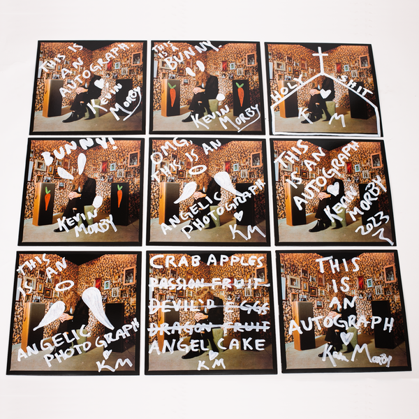 This Is A Photograph Custom Cover LP thumb