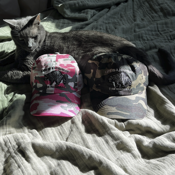 Life Is A Highway Cap  thumb