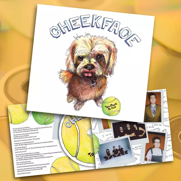 Too Much To Ask CD thumb