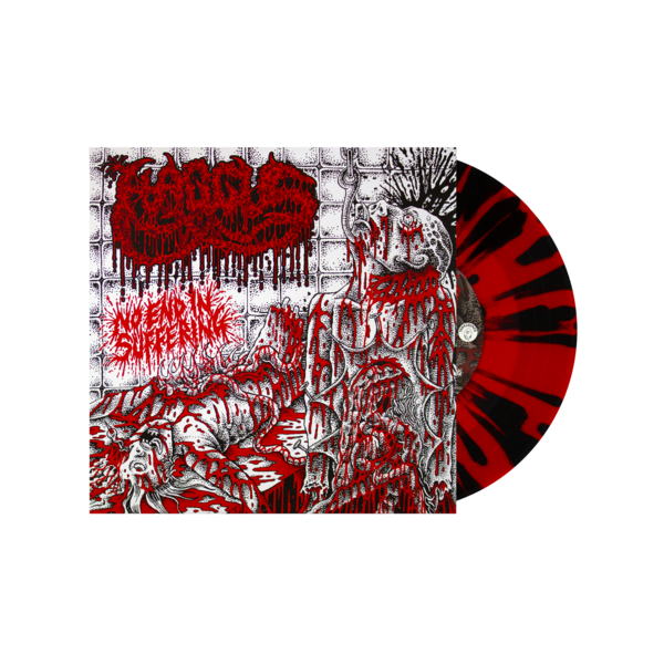 Haggus: No End in Suffering EP Vinyl 7