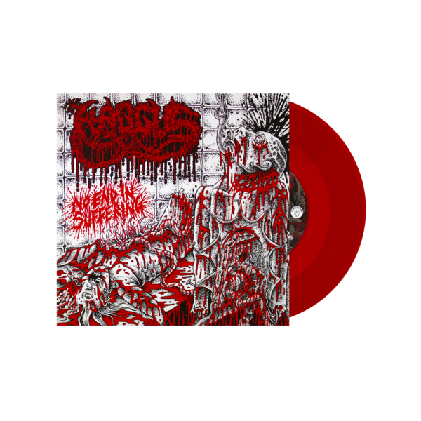 Haggus: No End in Suffering EP Vinyl 7