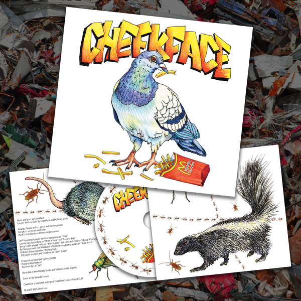 Middle Spoon CD thumb