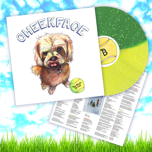 Too Much to Ask Vinyl LP thumb