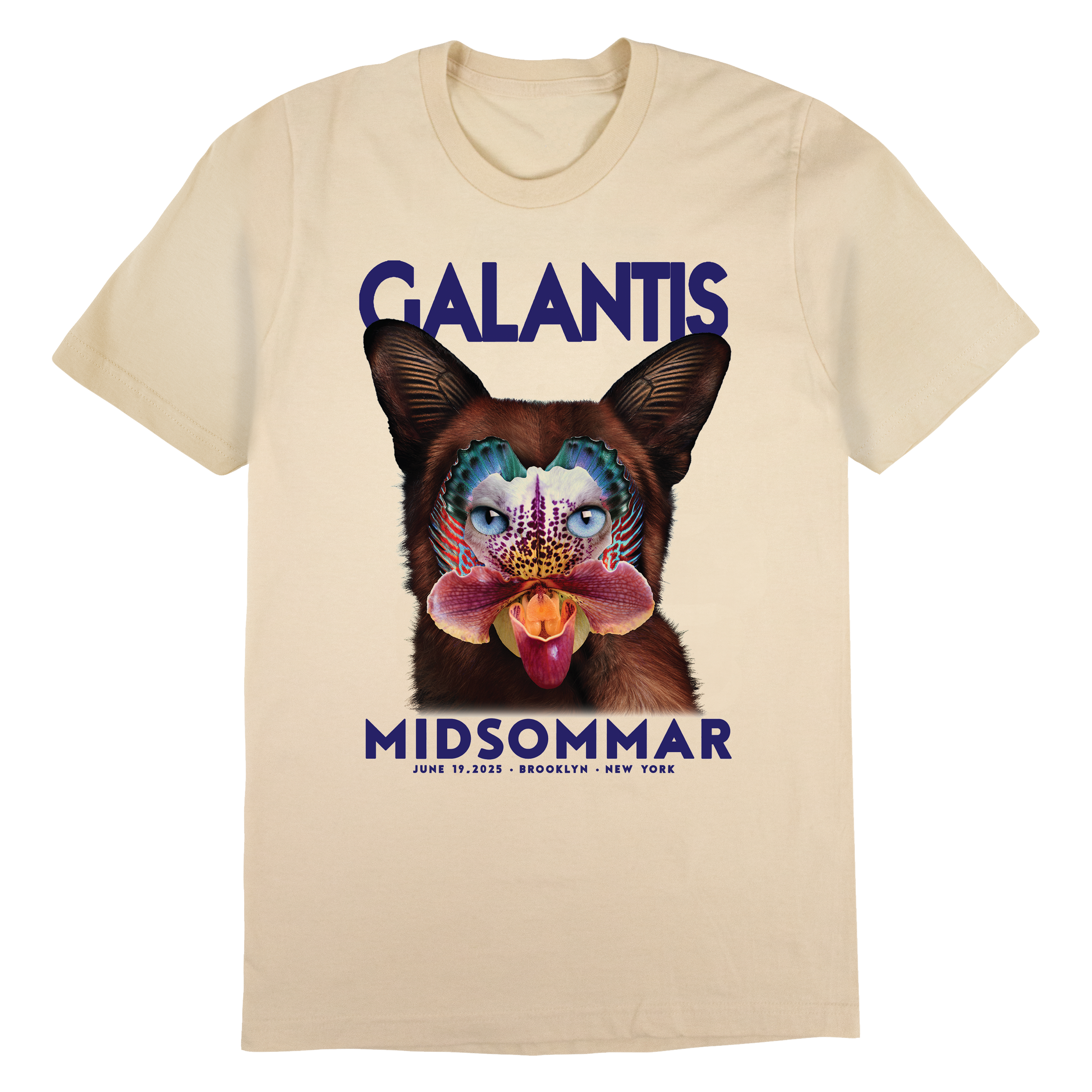 GAL_MidsommarSeafox1.png?