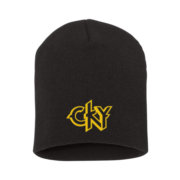 Classic Logo Beanie thumb