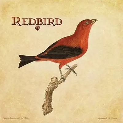 Redbird - CD thumb