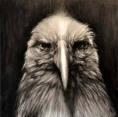 Bird Of Prey - CD thumb