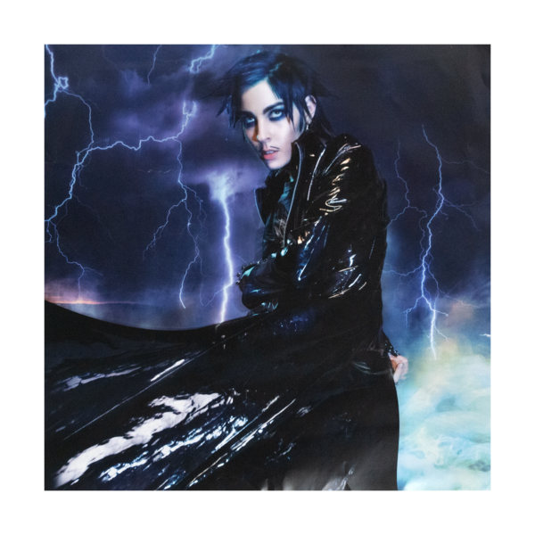 Flamboyant Poster  thumb