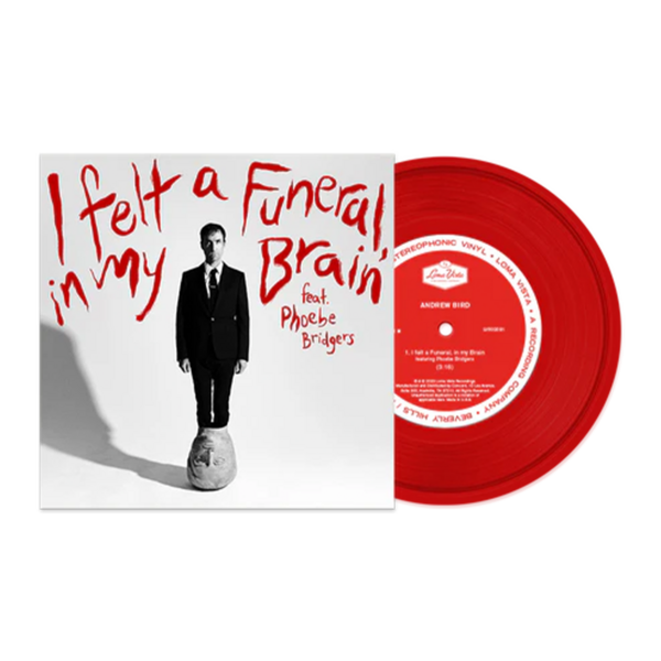 I Felt a Funeral in My Brain 7