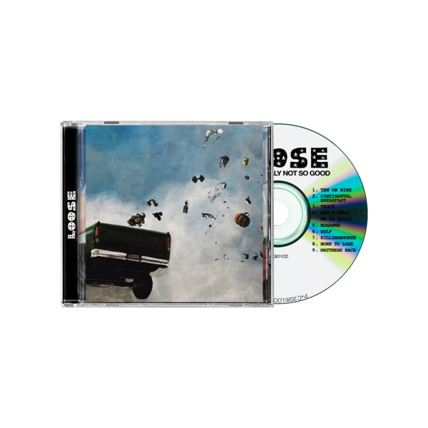 screenager - Pixel Perfect Vinyl LP | Rose Garden | Online Store