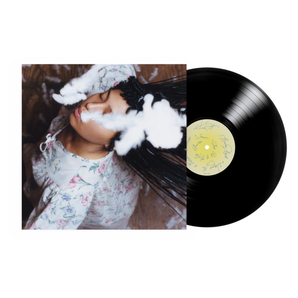 [PRE-ORDER] Follow The Light Vinyl LP - Black (Ships week of Oct. 16th, 2026) thumb