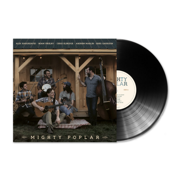 [BLEM] Mighty Poplar Self-Titled Vinyl LP thumb