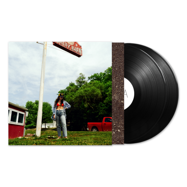 Tigers Blood (Deluxe) Vinyl 2xLP thumb