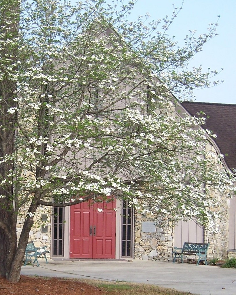 About Us St. Simon Peter Episcopal Church