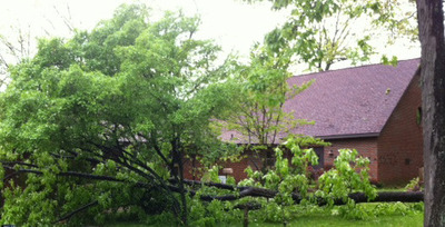 Downed trees at St. John's Episcopal Church