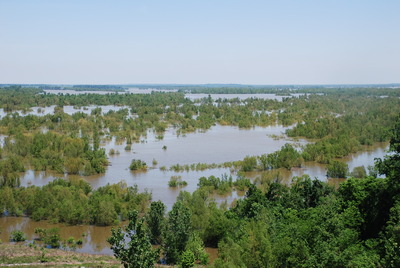 Flooded fields in Hickman Kentucky