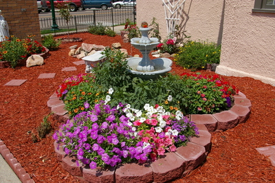 Trinity in Bloom