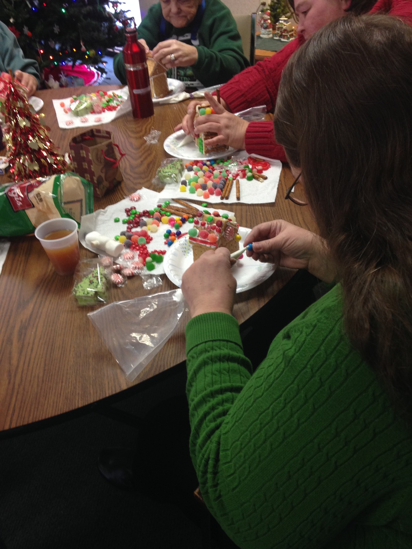 Caring for Nativity's Neighbors Activity
