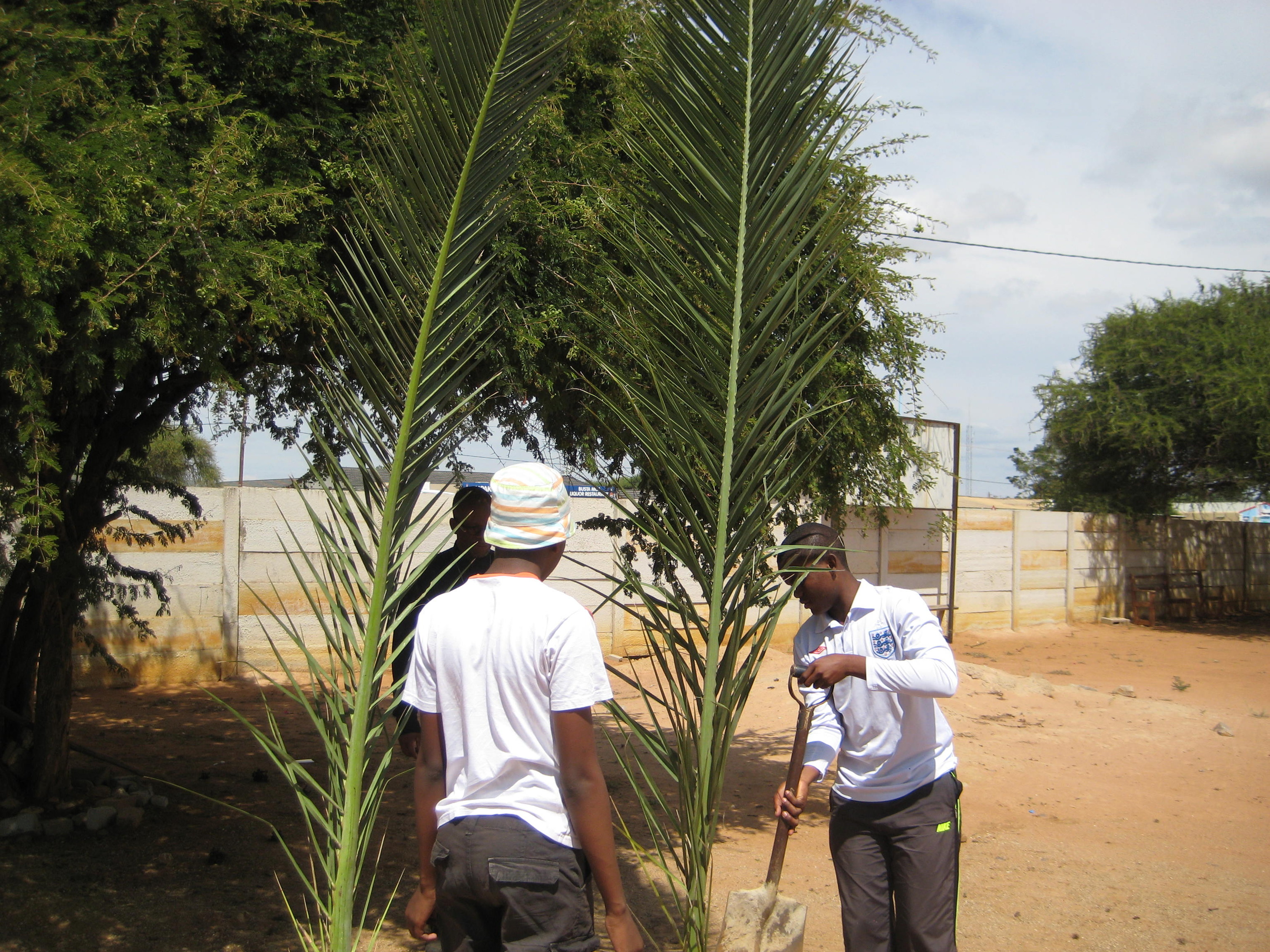 Palm Sunday Tlokweng Botswana The Diocese Of West Missouri