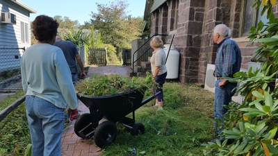 Wheelbarrow full of weeds