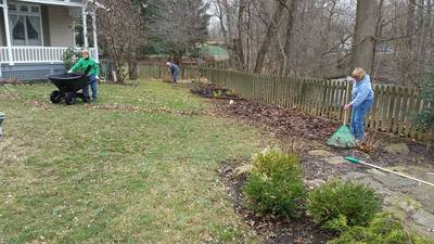 Cleaning up the yard