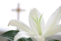 Easter through Pentecost Booklet