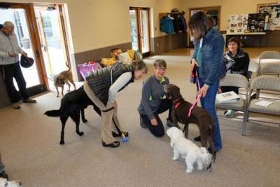 Blessing of Animals