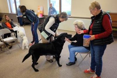 Blessing of Animals