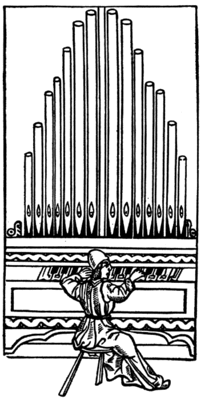 organ