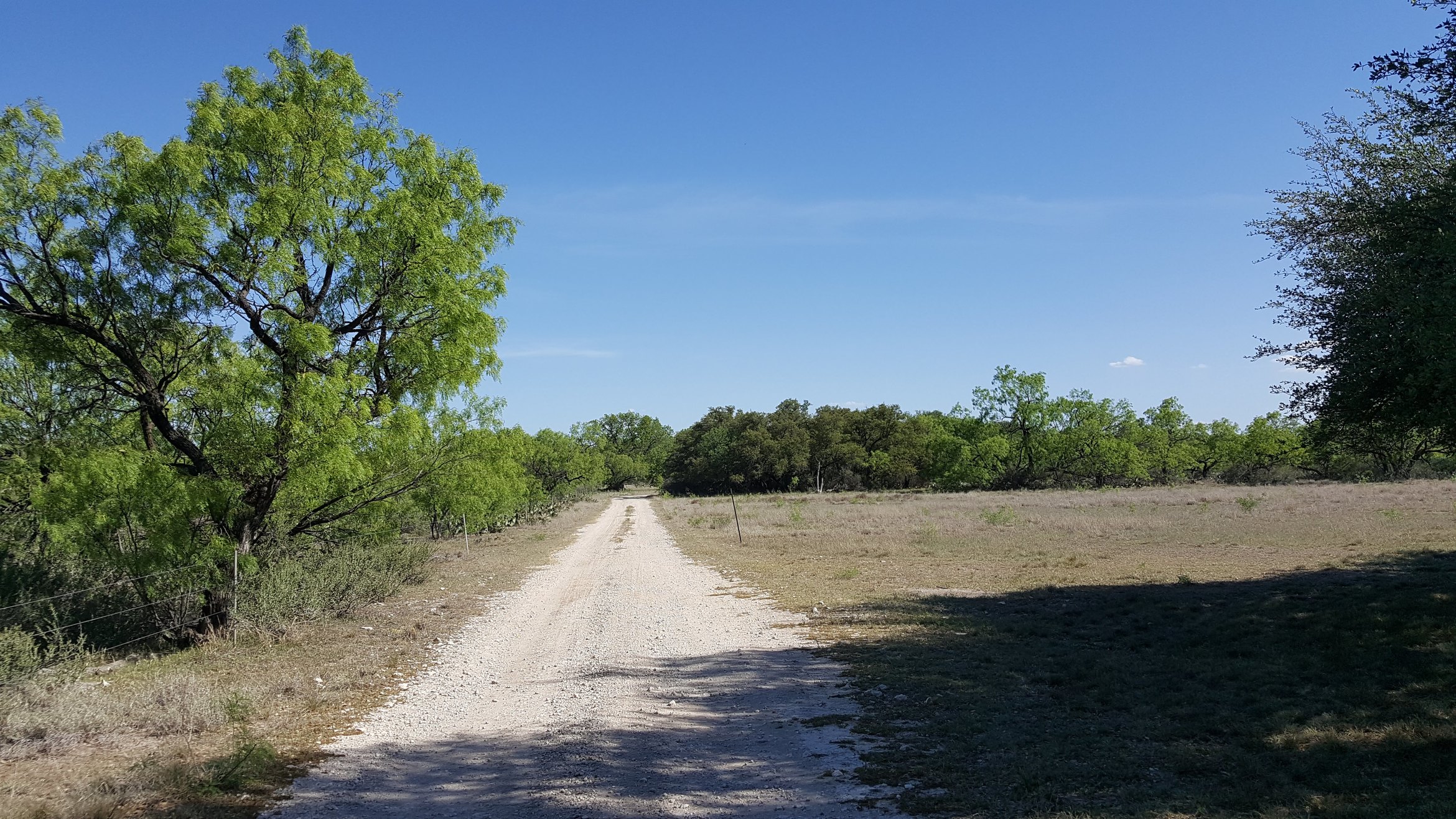 ranch 1