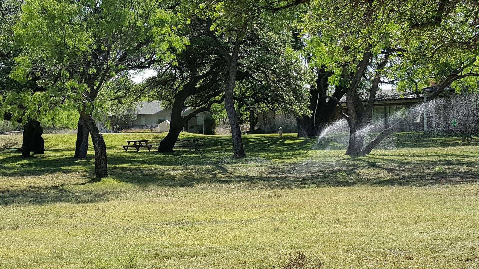 ranch 2