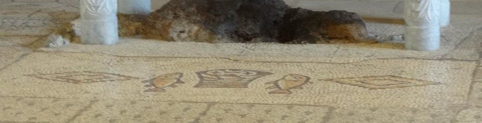The loaf is multiplied (Sermon) July 29, 2018