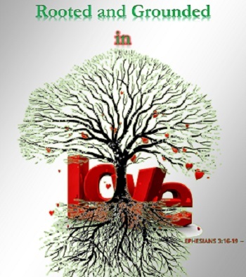 This Sunday (July 29, 2018) at The Episcopal Church of the Nativity and St. Stephen