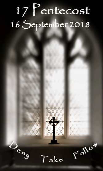 Sermon for the 17th Sunday after Pentecost