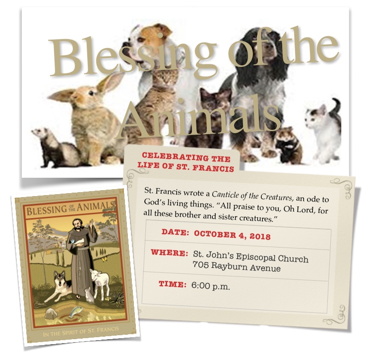 Blessing of the Animals