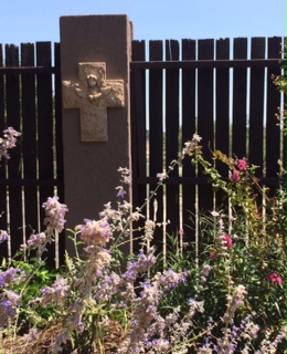 Spring Flowers in the Bennett Garden