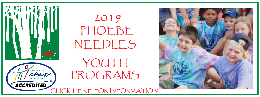 Phoebe Needles 2019 Summer Youth Programs