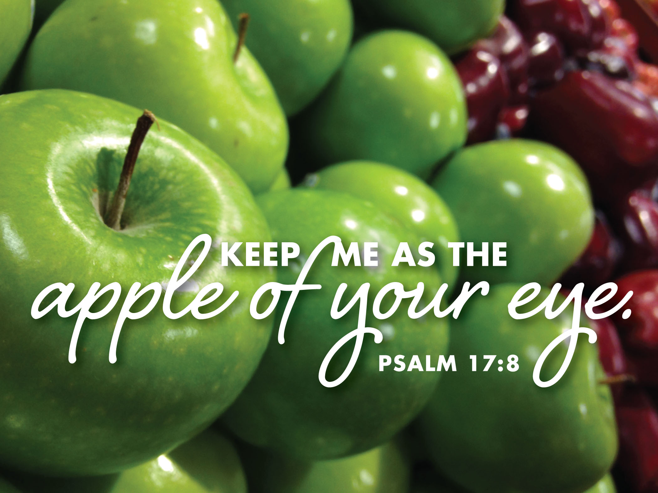 A Sermon for the 22nd Sunday after Pentecost