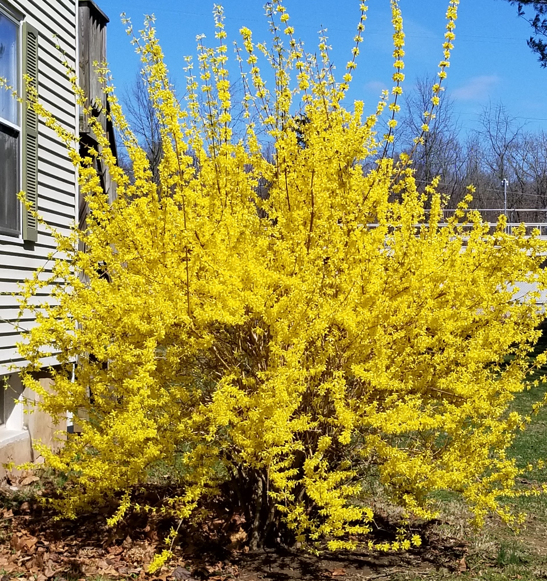April 2020 Newsletter