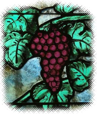 Vine
