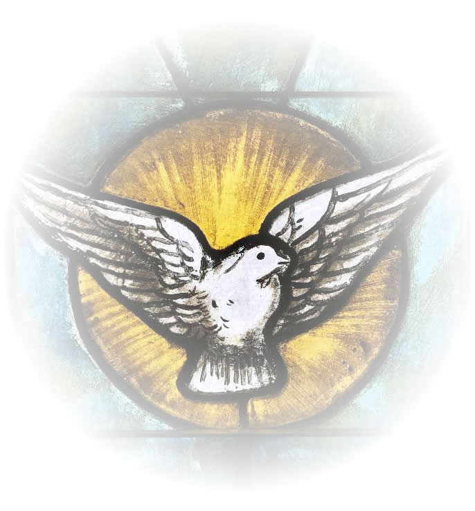 Dove