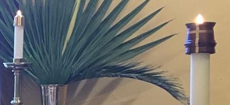 Palms