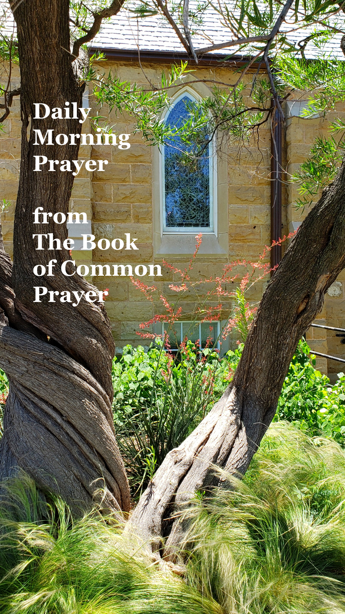 Morning Prayer